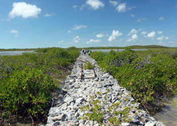Ист-Кайкос – фотографии Тёркс и Кайкос