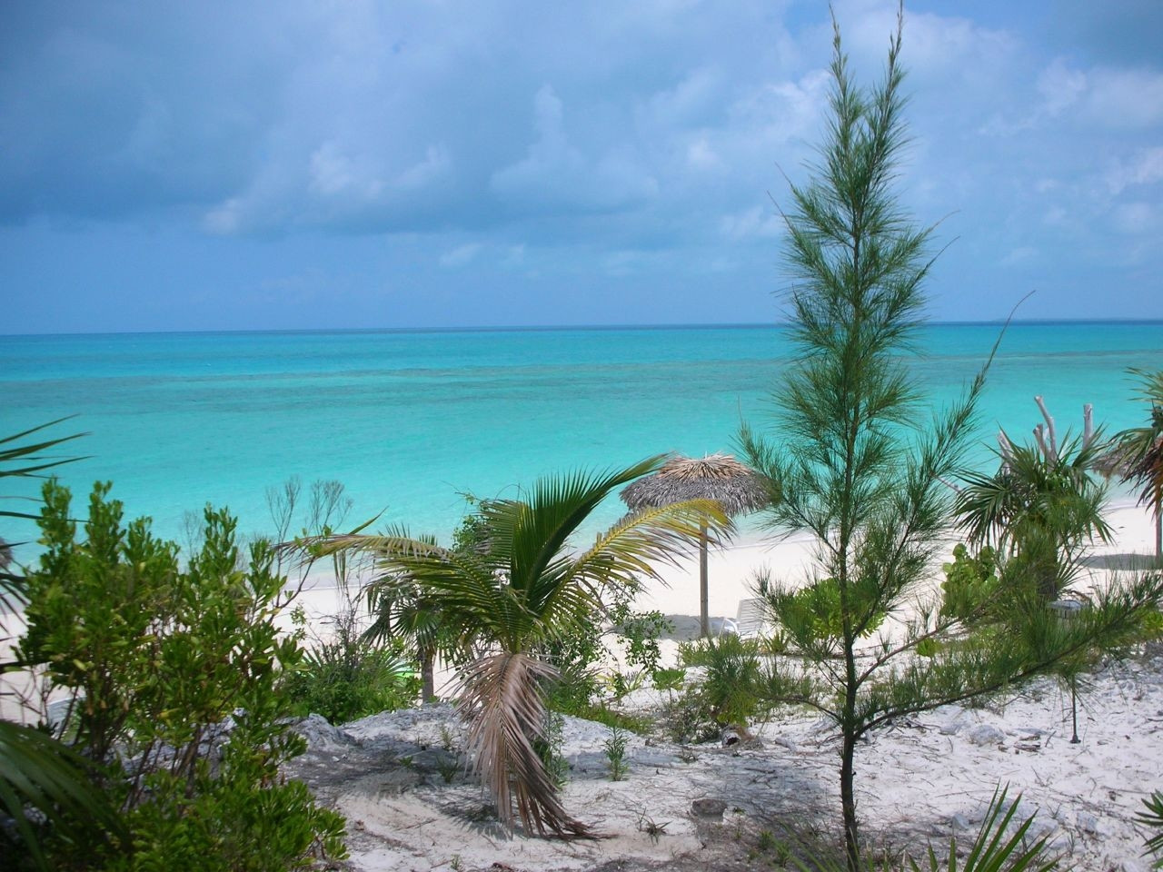Пляж в Кэт Айленд, Багамские острова. Фото 3 – фотографии Багамских островов