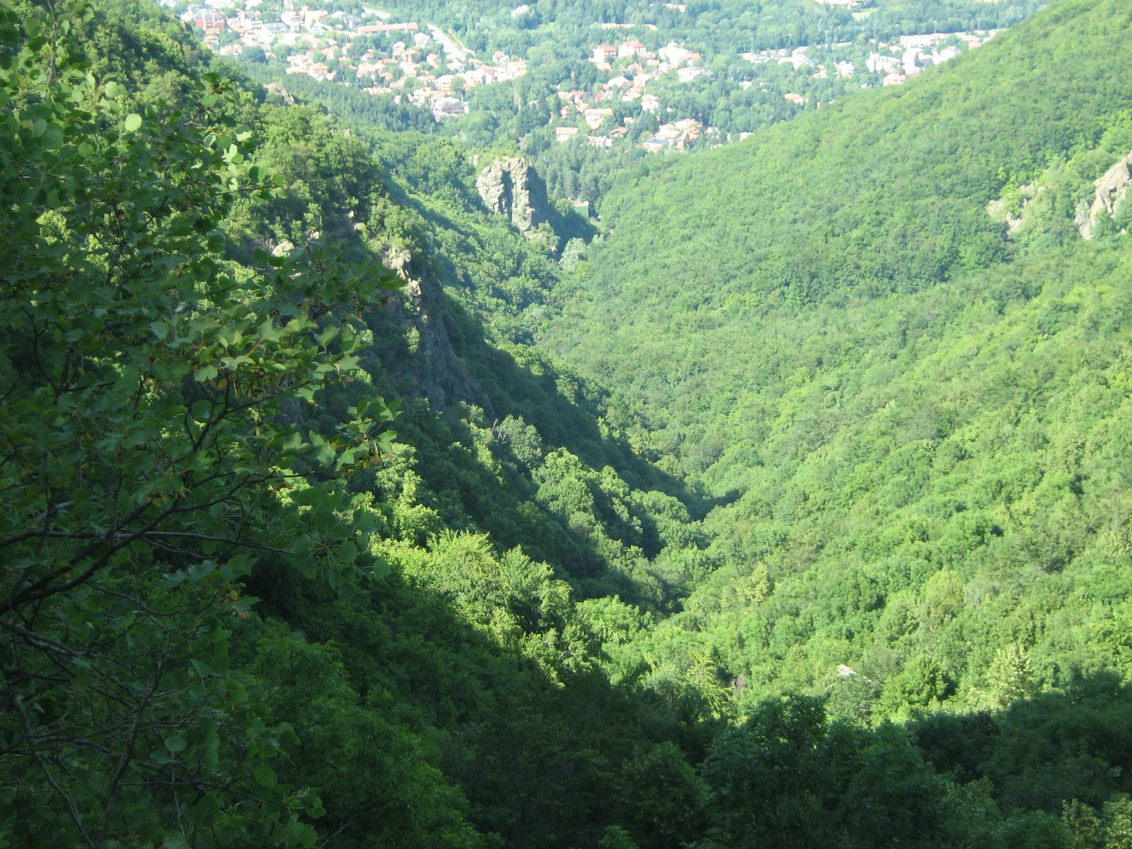 Природа в Витоша, Болгария. Фото 1 – фотографии Болгарии