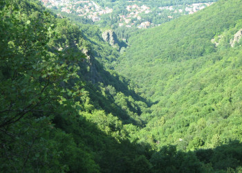 Природа в Витоша, Болгария. Фото 1 – фотографии Болгарии