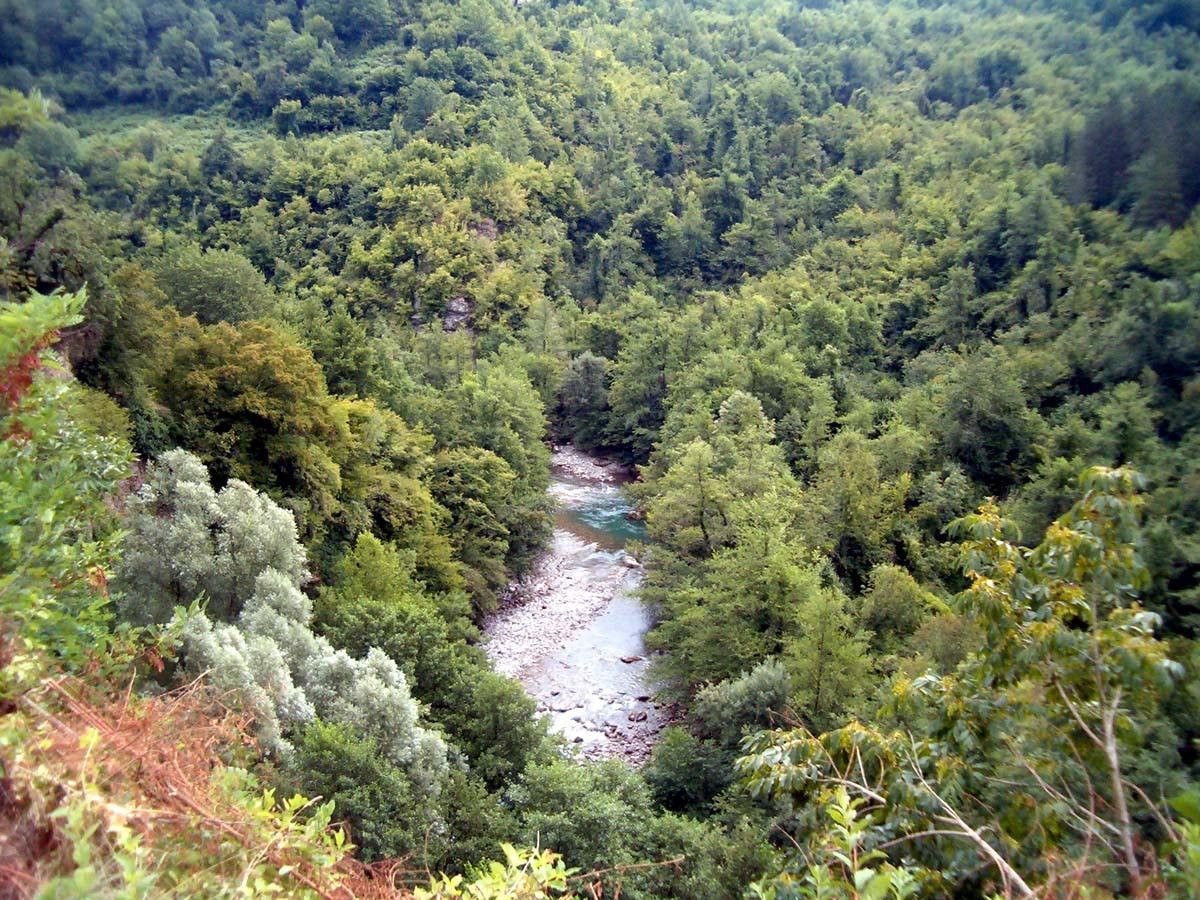 Морача река – фотографии Черногории