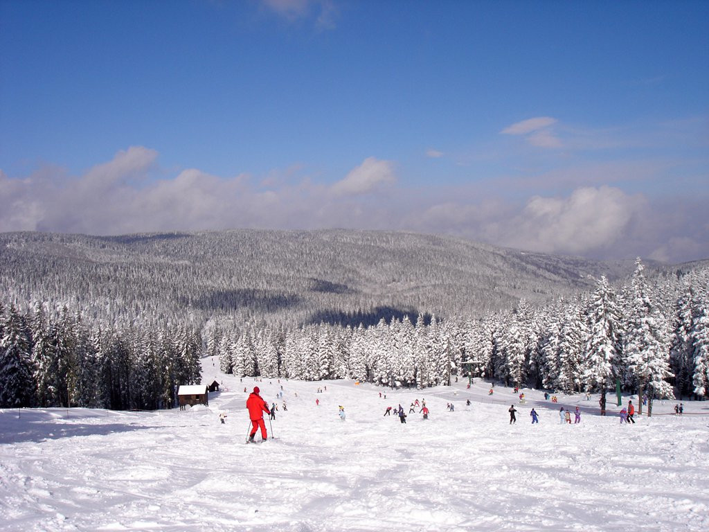 Рогла, Словения, фото № 57506 – фотографии Словении