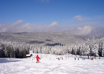 Рогла, Словения, фото № 57506 – фотографии Словении