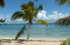 Лелеувиа остров, Вити Леву группа островов, Фиджи, фото № 49747 – фотографии Фиджи