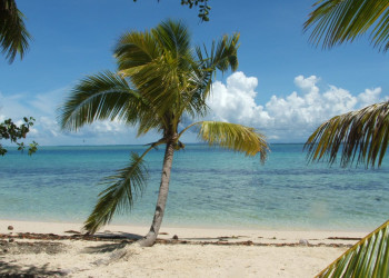 Лелеувиа остров, Вити Леву группа островов, Фиджи, фото № 49747 – фотографии Фиджи