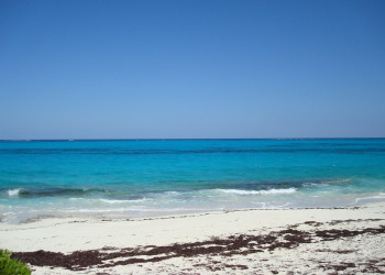 Пляж на острове Абако, Багамские острова. Фото 22 – фотографии Багамских островов