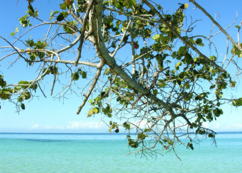 Море в Негриле, Ямайка. Фото 29 – фотографии Ямайки