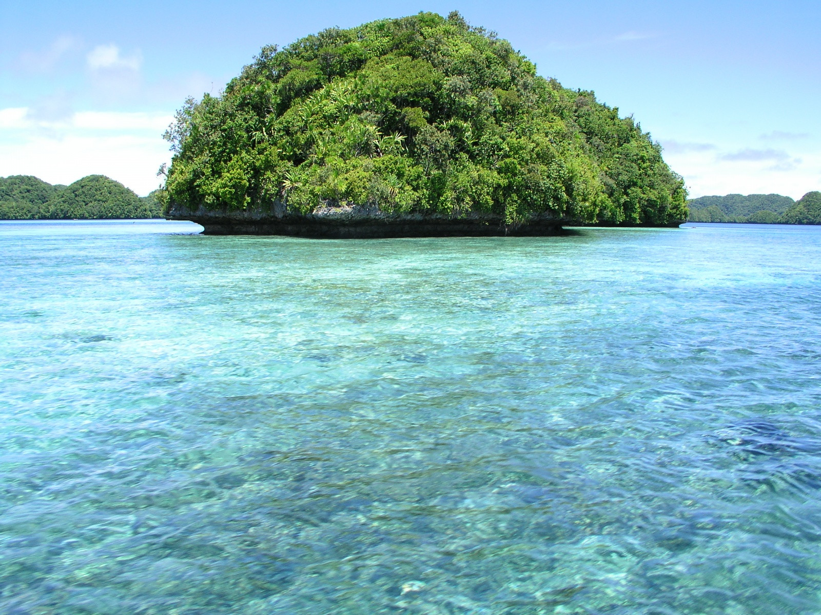 Один из сотен островков в Палау – фотографии Палау