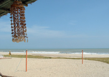 Пляж в окрестностях Тумбеса – фотографии Перу