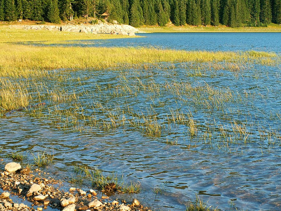 Црно озеро – фотографии Черногории