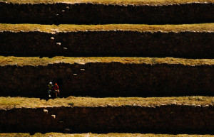 Ступени в Священной долине инков, Морай, Перу – фотографии Перу