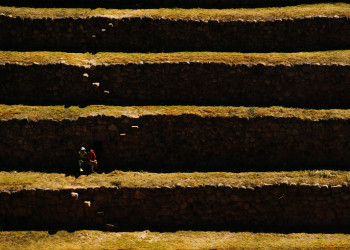 Ступени в Священной долине инков, Морай, Перу – фотографии Перу