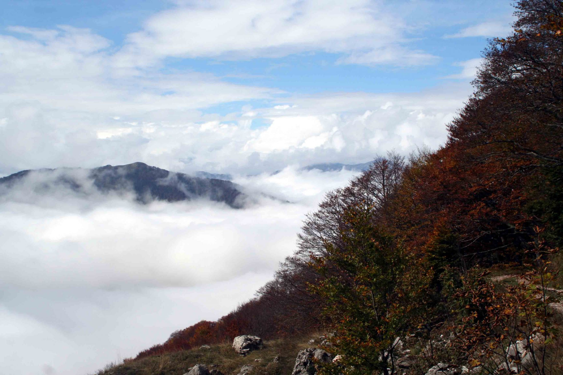Облака в Национальном парке, Черногория – фотографии Черногории