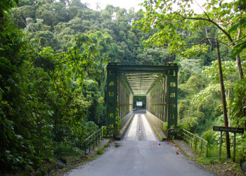 Мост в окрестностях Гран'Ривьер – фотографии Мартиники
