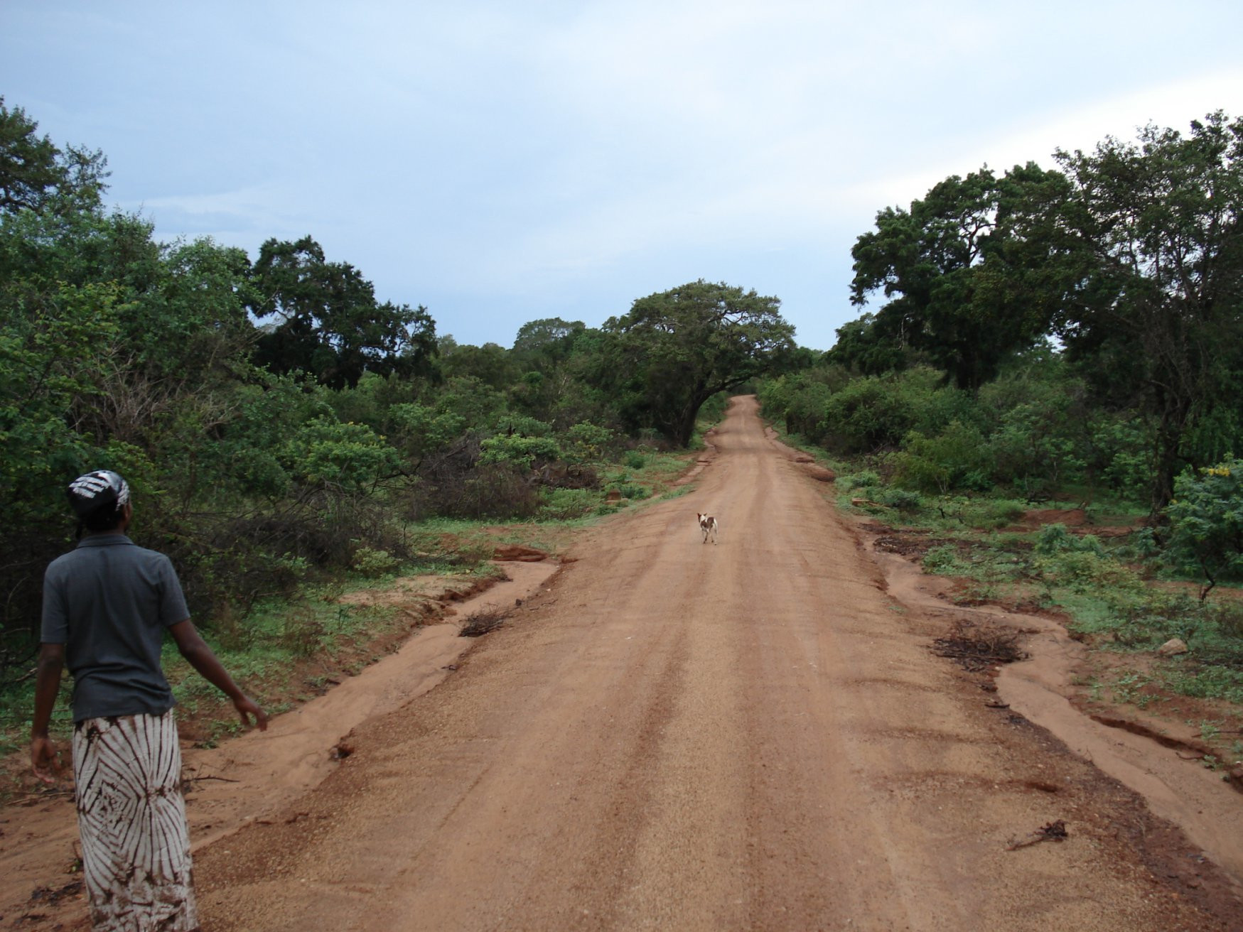 Яла Национальный Парк, Шри-Ланка, фото № 52595 – фотографии Шри-Ланки