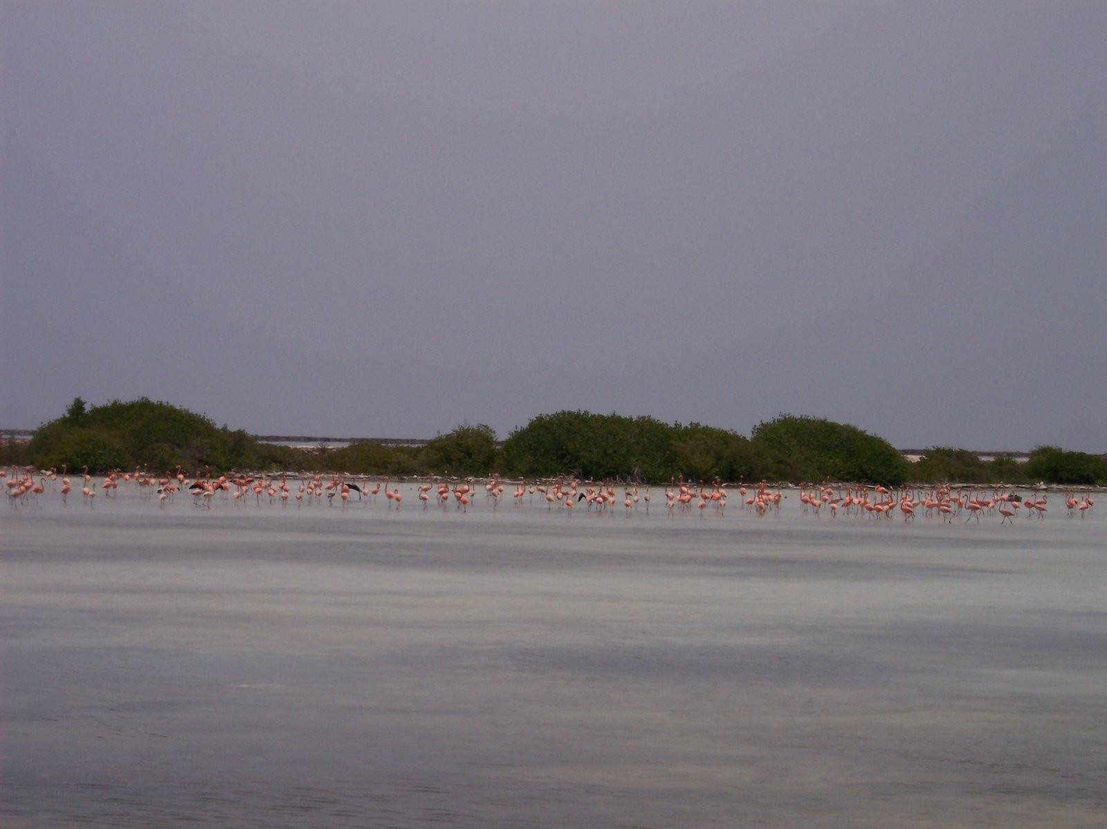 Бонайре остров, Карибские Нидерланды, фото № 76644 – фотографии Карибских Нидерландов
