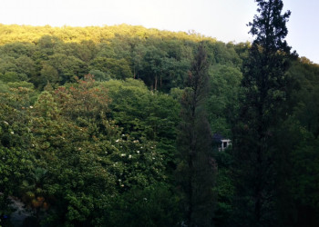 Вид с балкона в посёлке Южный, район Туапсе. Фото 1 – фотографии России