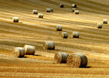 Путешествуем по Голландии. Фото 7 – фотографии Нидерландов