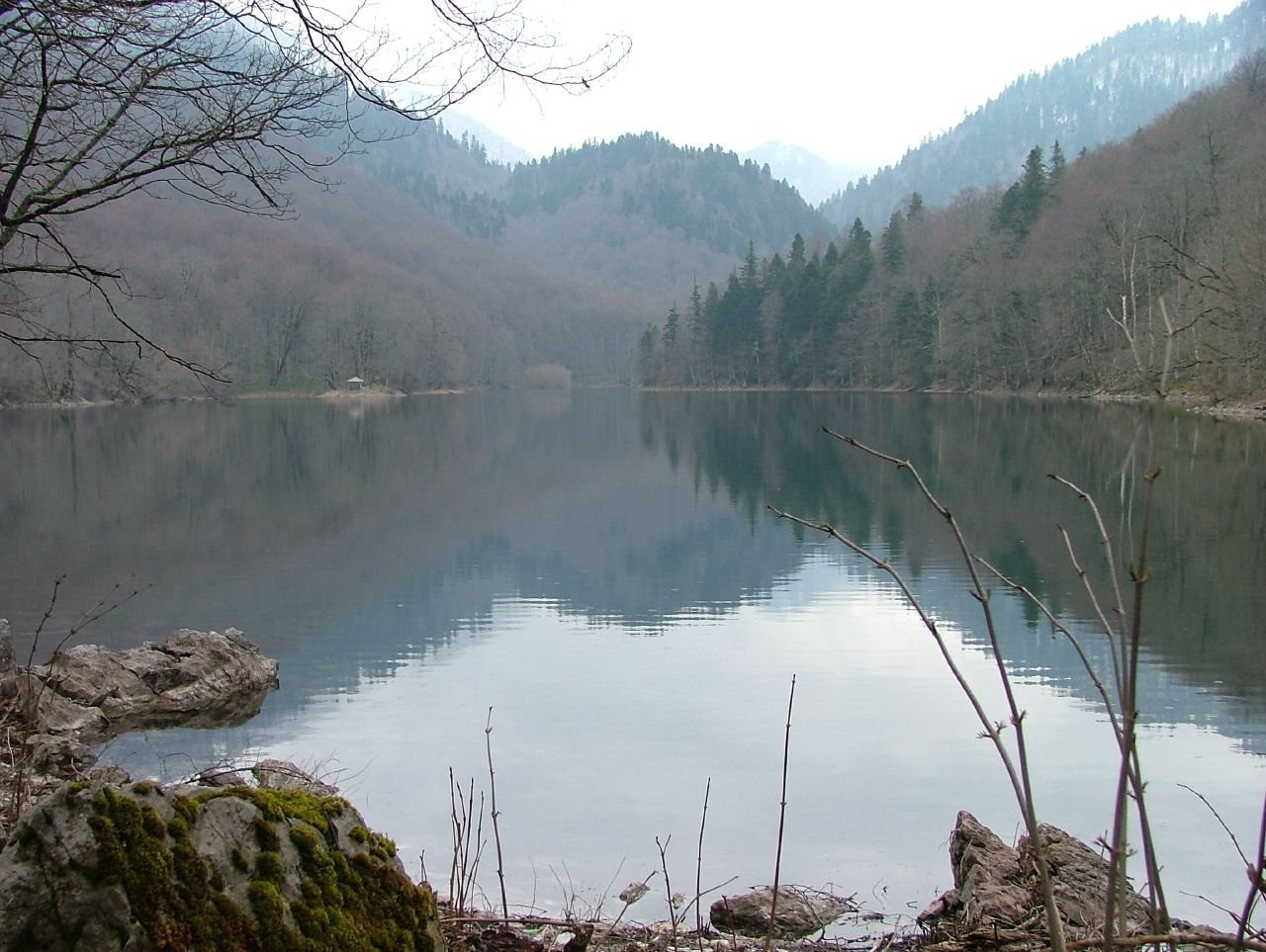 Озеро в Национальном парке, Черногория. Фото 25 – фотографии Черногории