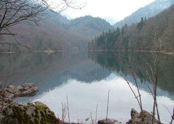 Озеро в Национальном парке, Черногория. Фото 25 – фотографии Черногории