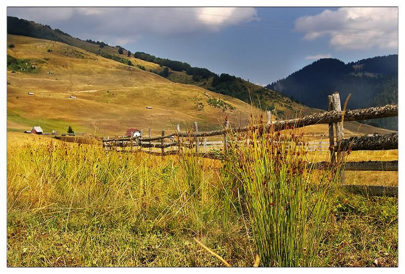Биоградская гора, Черногория. Фото 17 – фотографии Черногории