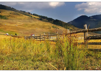 Биоградская гора, Черногория. Фото 17 – фотографии Черногории