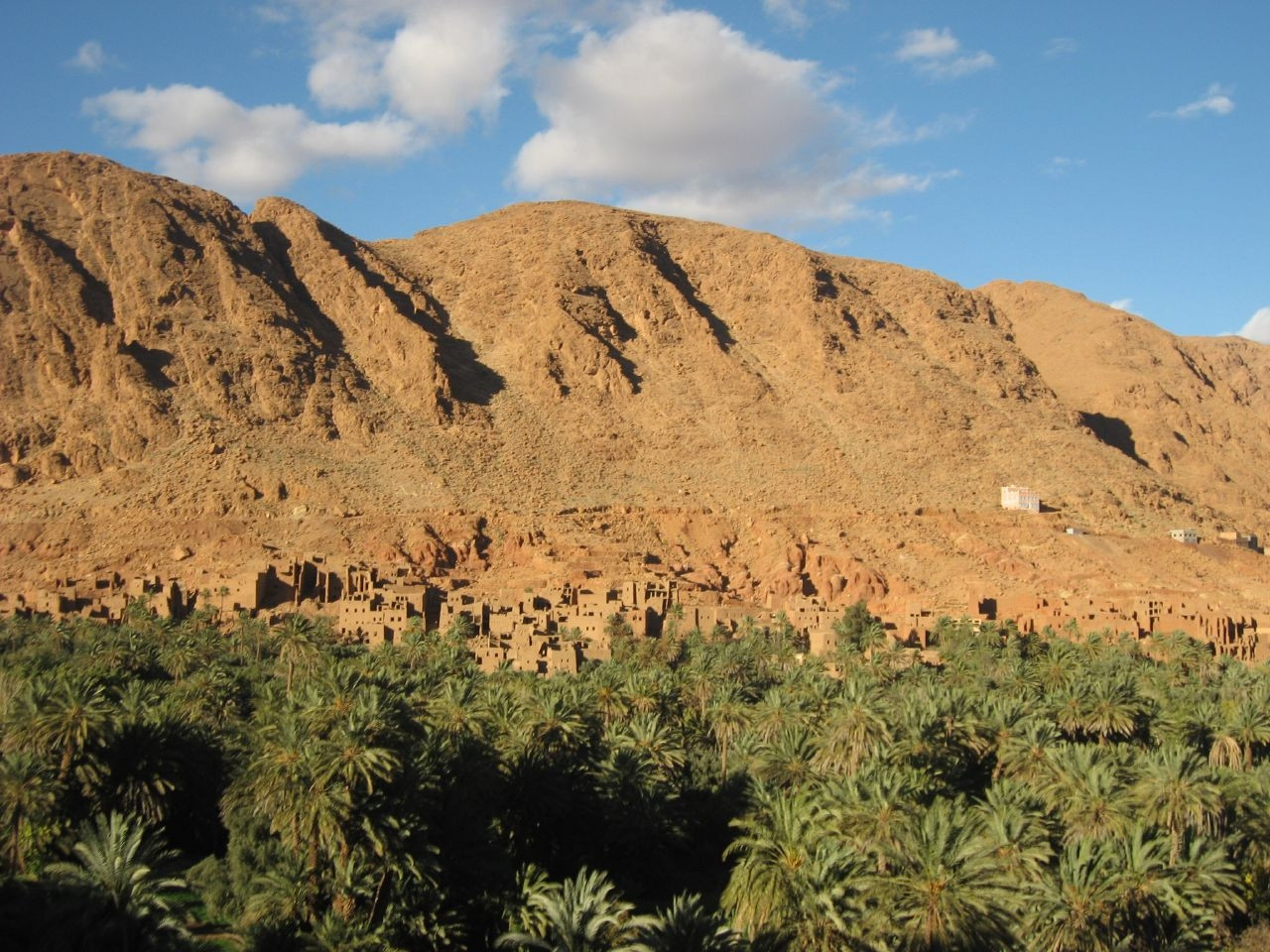 Эрфуд, Марокко, фото № 8736 – фотографии Марокко