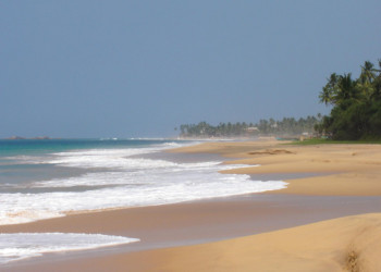 Хиккадува, Шри-Ланка, фото № 52585 – фотографии Шри-Ланки