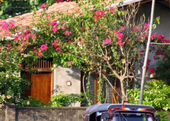 Бентота, Шри-Ланка, фото № 50658 – фотографии Шри-Ланки