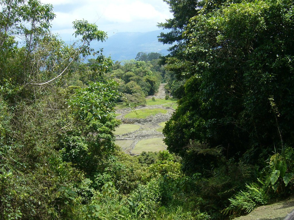 Гуаябо, Картаго провинция, Коста-Рика, фото № 39158 – фотографии Коста-Рики