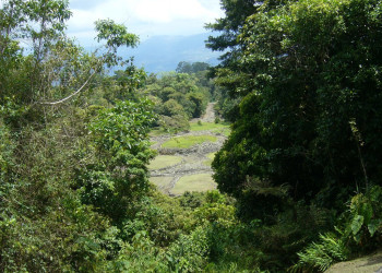 Гуаябо, Картаго провинция, Коста-Рика, фото № 39158 – фотографии Коста-Рики