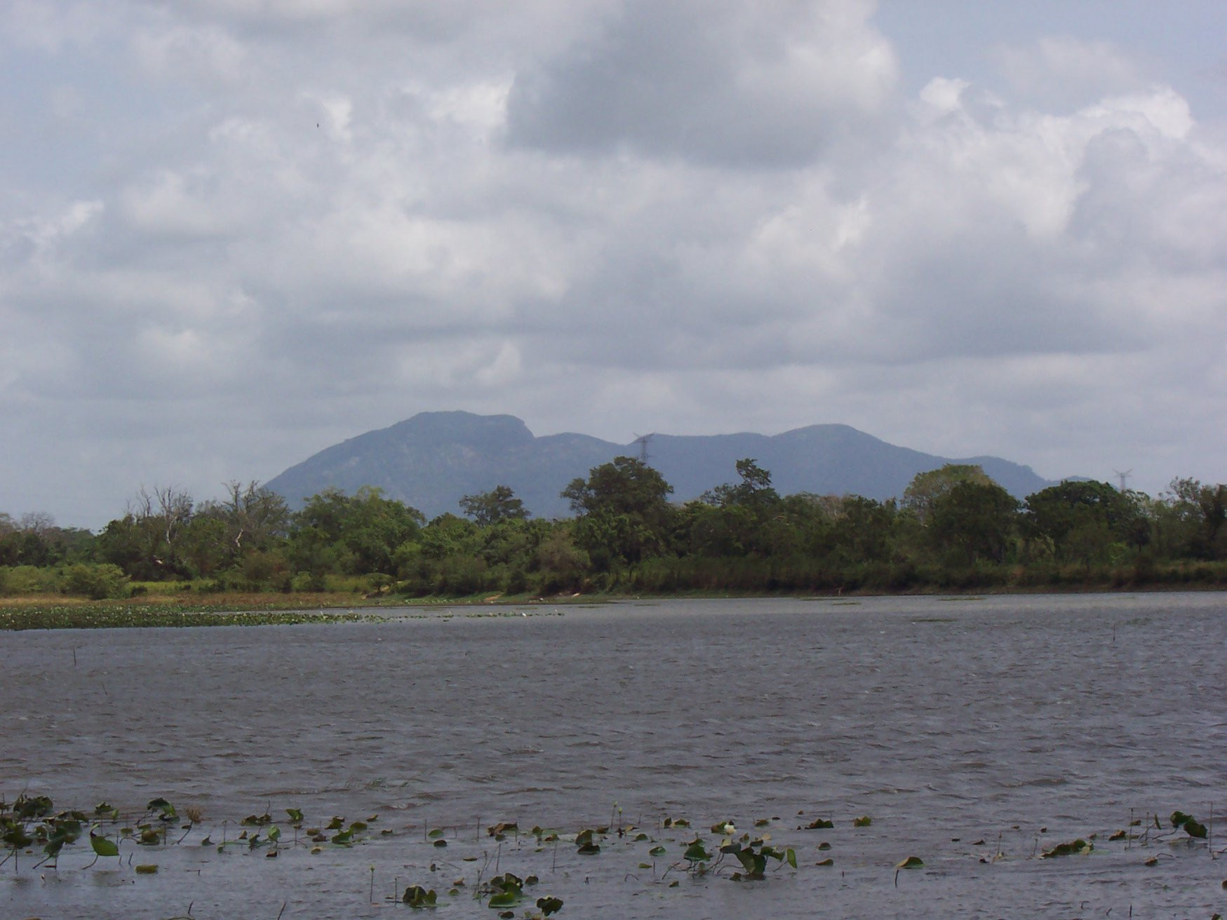 Хабарана, Шри-Ланка, фото № 52473 – фотографии Шри-Ланки