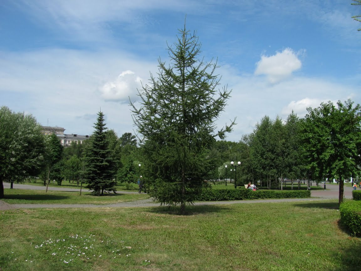 Сквер в Новокузнецке, Россия. Фото 2 – фотографии России