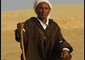 Житель Туниса. Фото 1 – фотографии Туниса