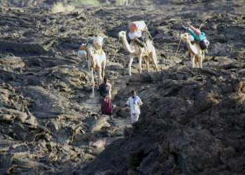Верблюды в Эфиопии. Фото 2 – фотографии Эфиопии