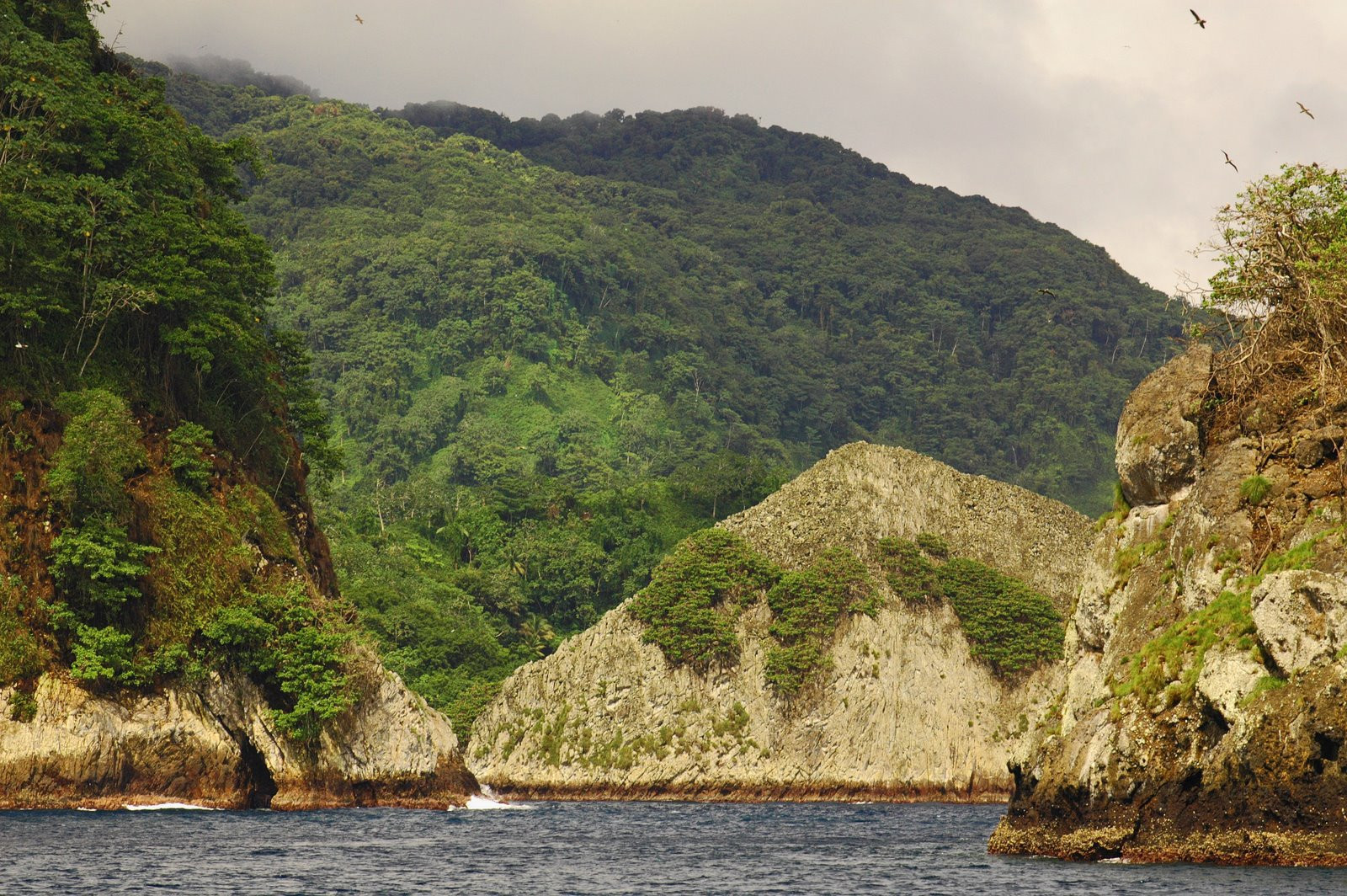 о.Кокос, Пунтаренас провинция, Коста-Рика, фото № 40883 – фотографии Коста-Рики