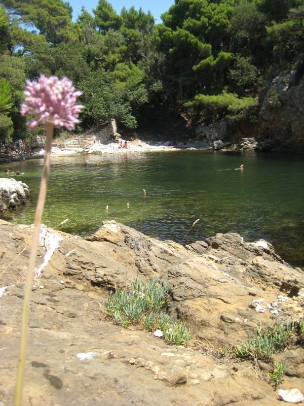 Берега на острове Локрум, Хорватия. Фото 6 – фотографии Хорватии