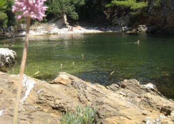 Берега на острове Локрум, Хорватия. Фото 6 – фотографии Хорватии