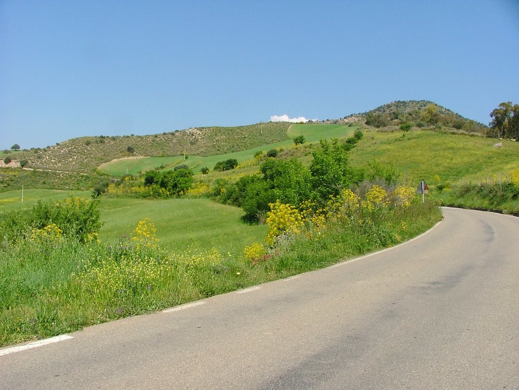 Никосия, Кипр, фото № 38342 – фотографии Кипра