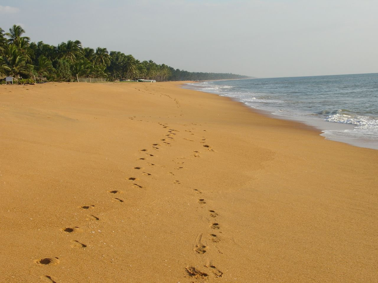 Маравила, Шри-Ланка, фото № 51704 – фотографии Шри-Ланки