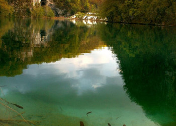 Рыба в Плитвицком озере, Хорватия. Фото 1 – фотографии Хорватии