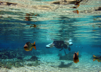 Река Прата (Rio da Prata) в Бониту – фотографии Бразилии