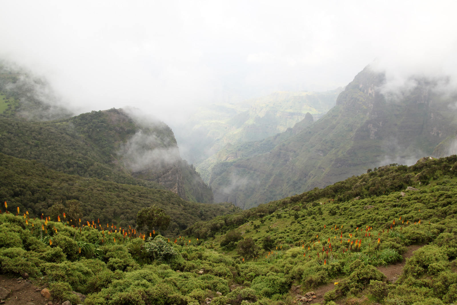 Горы Национального парка. Фото 3 – фотографии Эфиопии