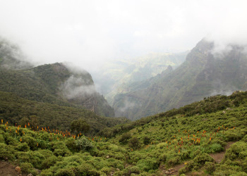 Горы Национального парка. Фото 3 – фотографии Эфиопии
