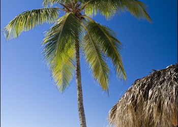 Байяибе, Доминикана, фото № 30234 – фотографии Доминиканы