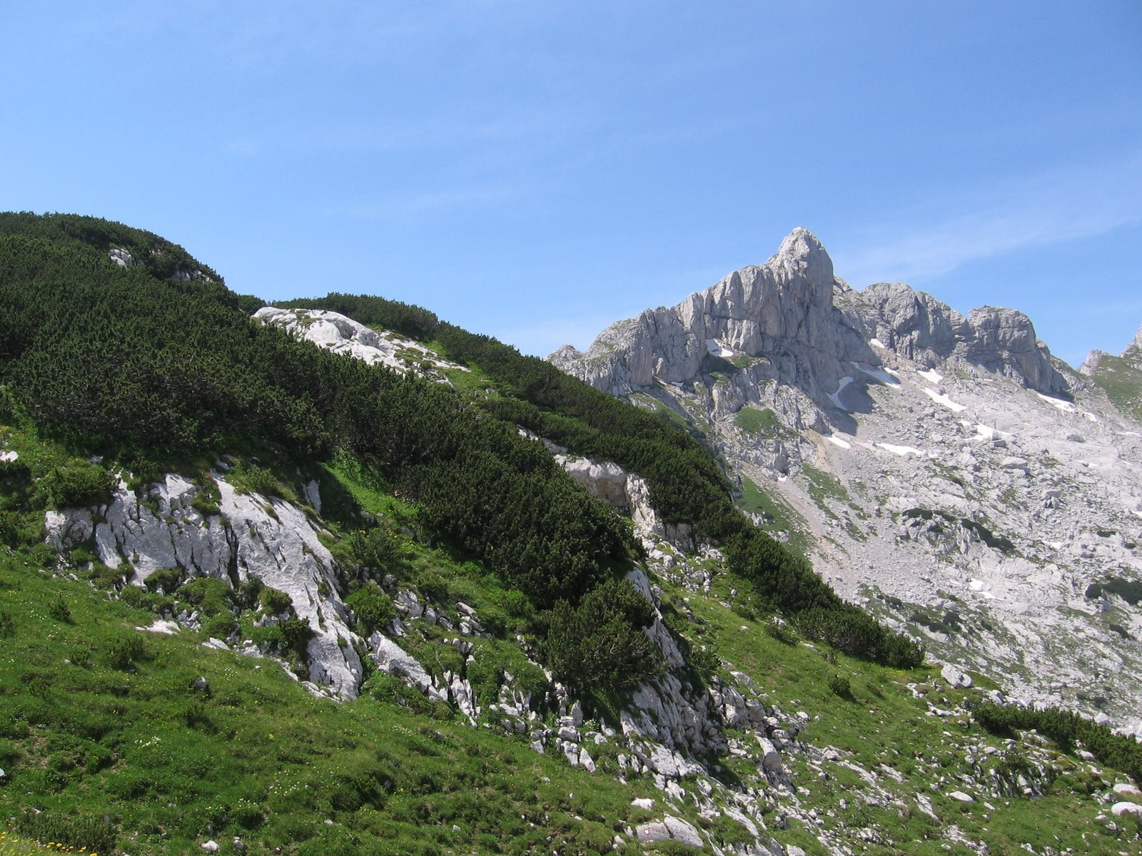 Национальный парк, Черногория – фотографии Черногории