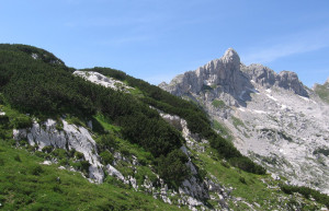 Национальный парк, Черногория – фотографии Черногории