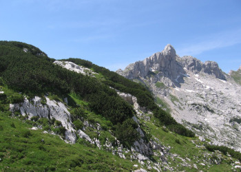 Национальный парк, Черногория – фотографии Черногории