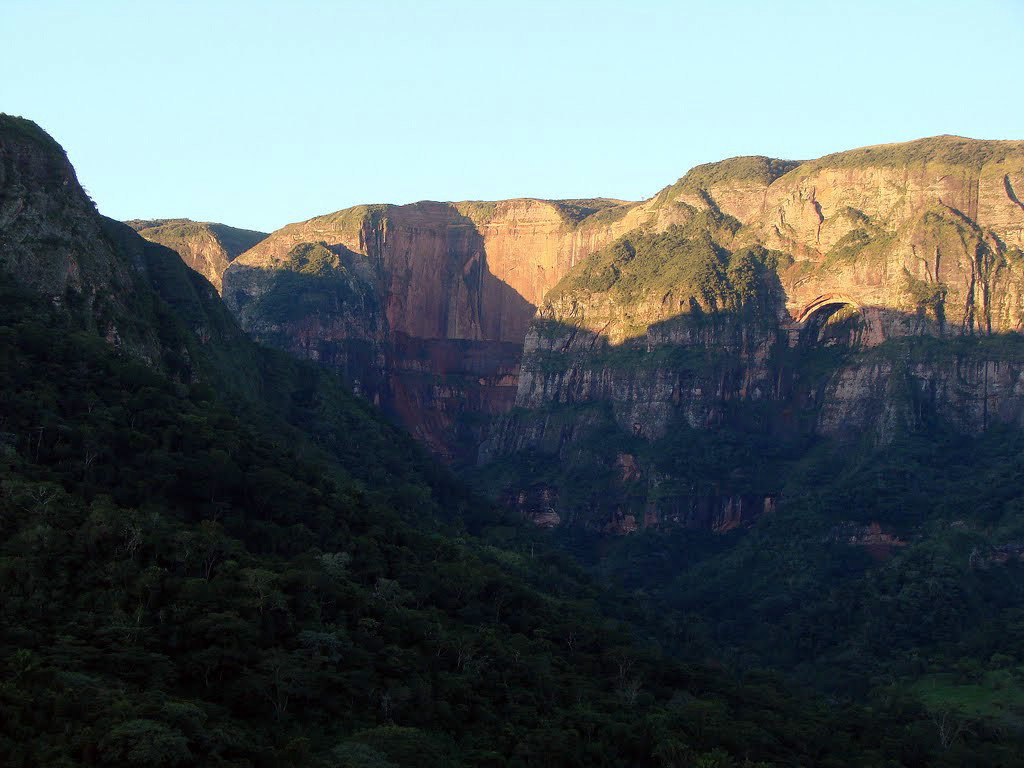 Национальный парк Амборо в Боливии – фотографии Боливии