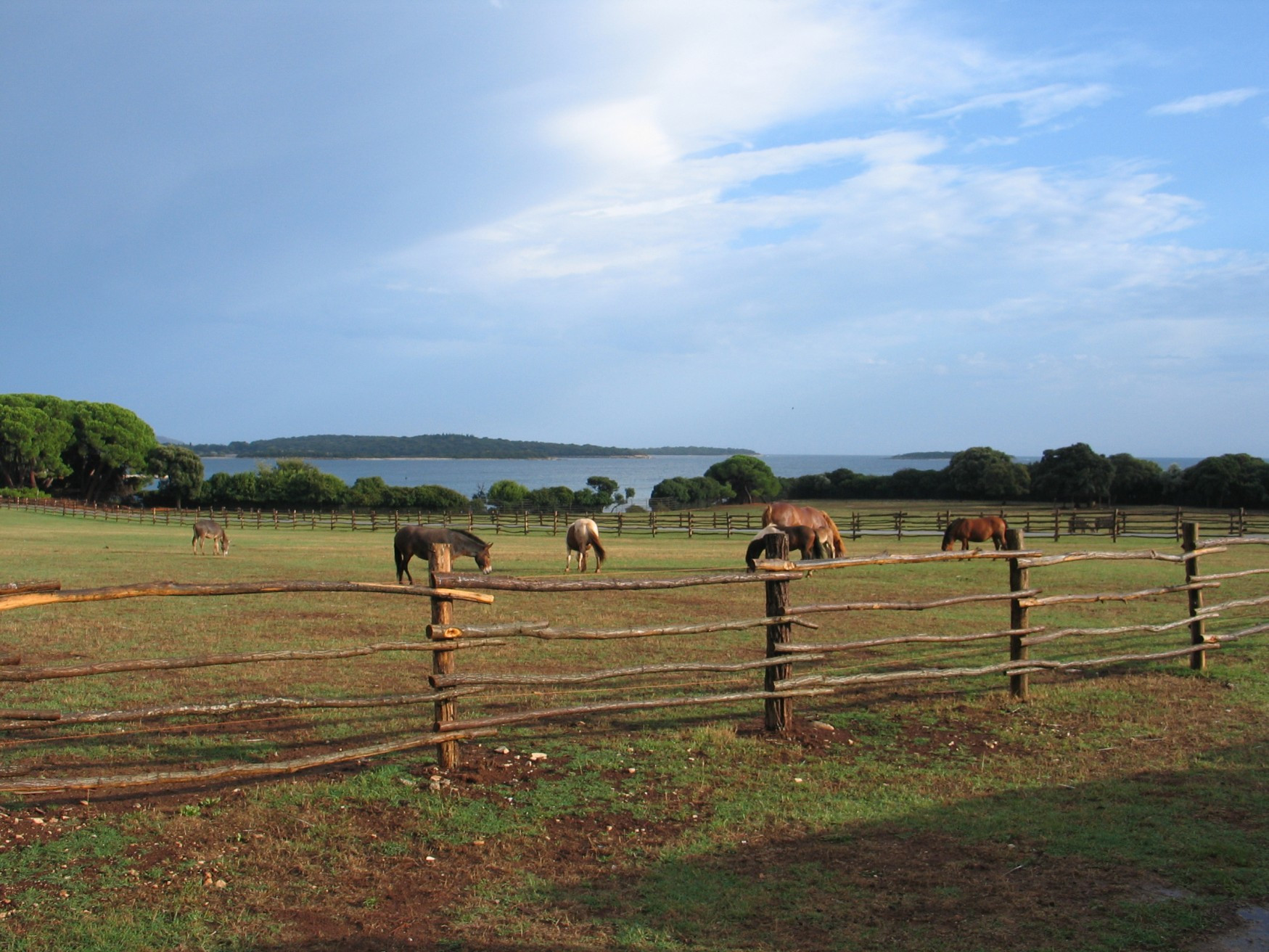 Животные в Национальном парке, Хорватия – фотографии Хорватии